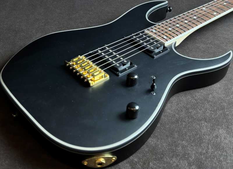 Ibanez RG421EX 買取