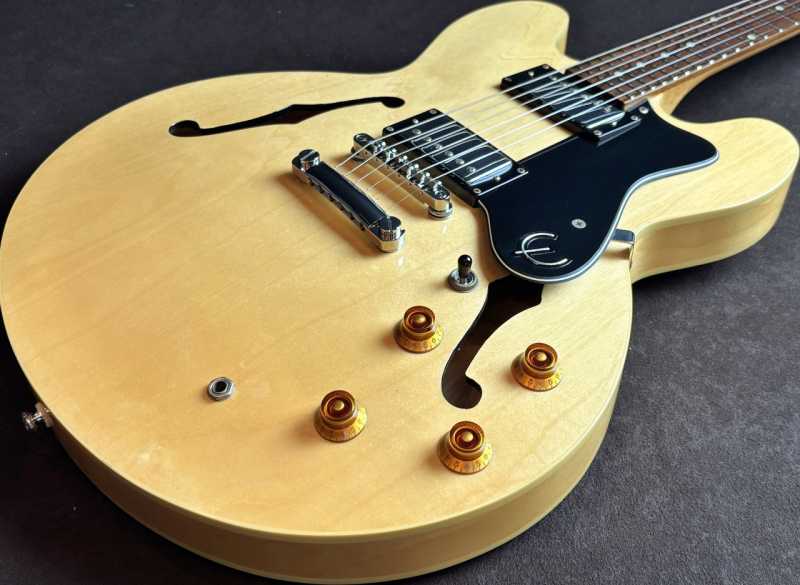 Epiphone DOT NA 買取