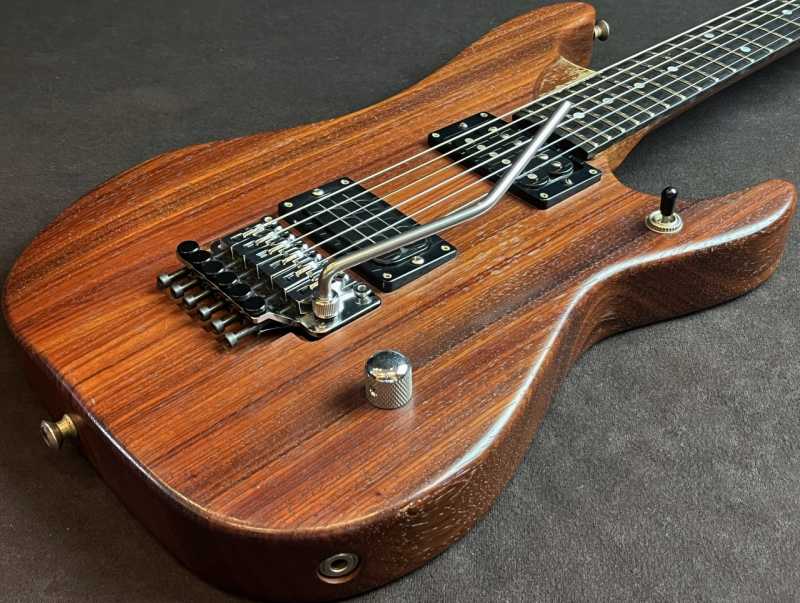 Washburn N4 PADAUK 買取