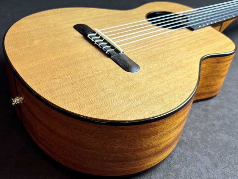 aNueNue Bird aNN-MN14 買取