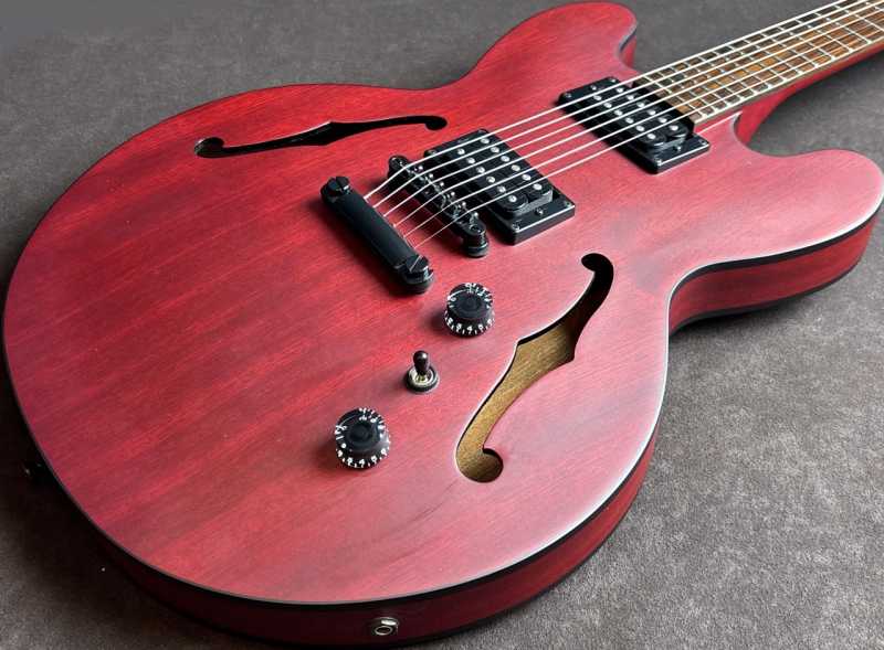 Epiphone Dot Studio WC 買取