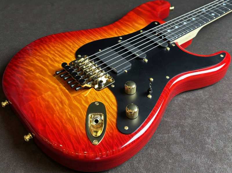 SCHECTER ST-IV-22-CTM-FRT-IKP/CHSB/E 買取