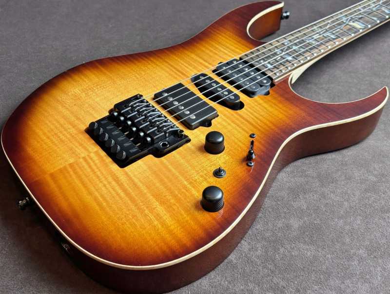 Ibanez j.custom Axe Design Lab RG8870-BSR 買取