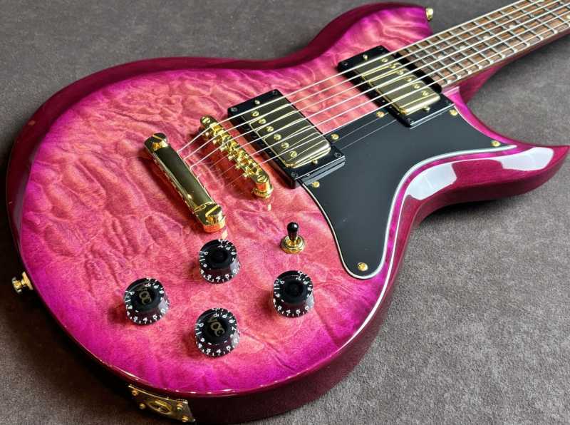 Washburn WI-64DL 買取