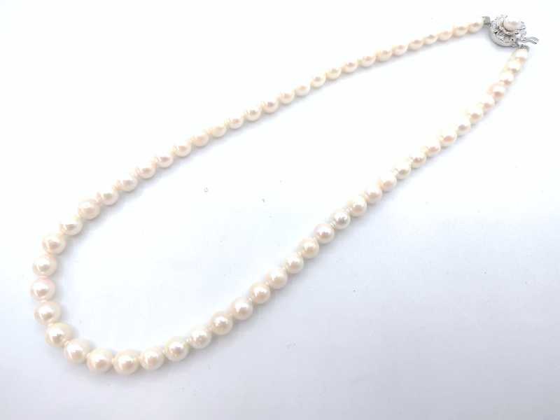 宝石買取 パールネックレス アコヤ貝