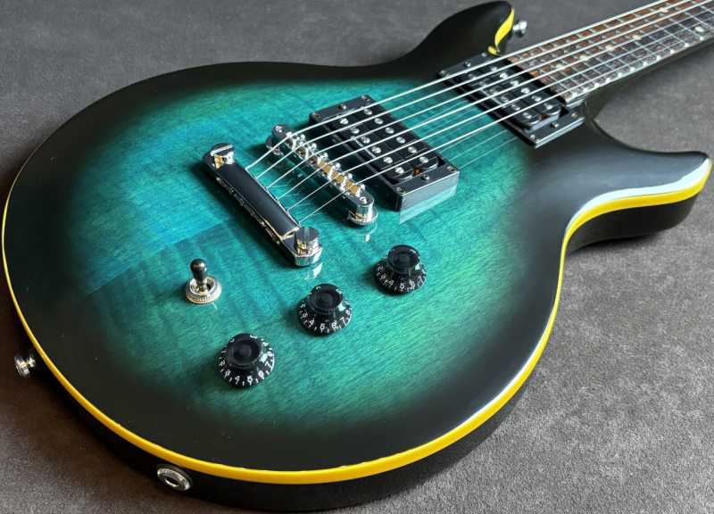 HAMER Slammer Series SAT-F-BB 買取