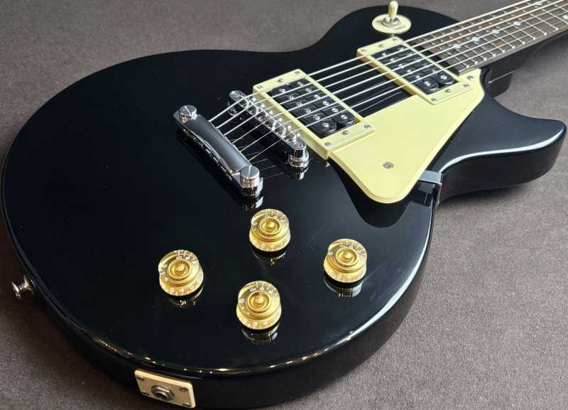 Epiphone Les Paul LP-100 買取