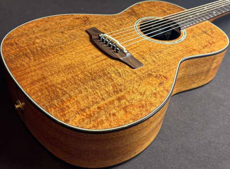 Takamine PTU431K N 買取