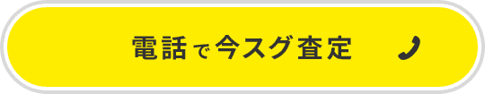 電話で今すぐ査定