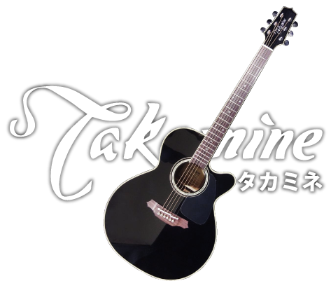 Tkamine(タカミネ) アコースティックギター