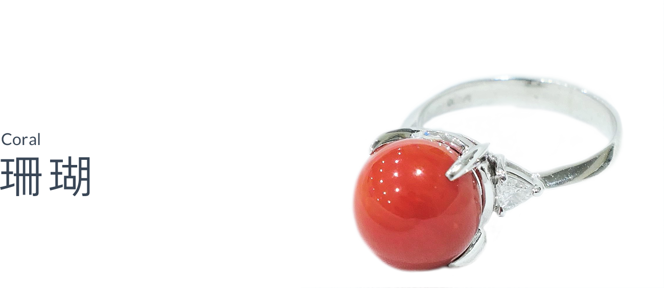 珊瑚（Coral）