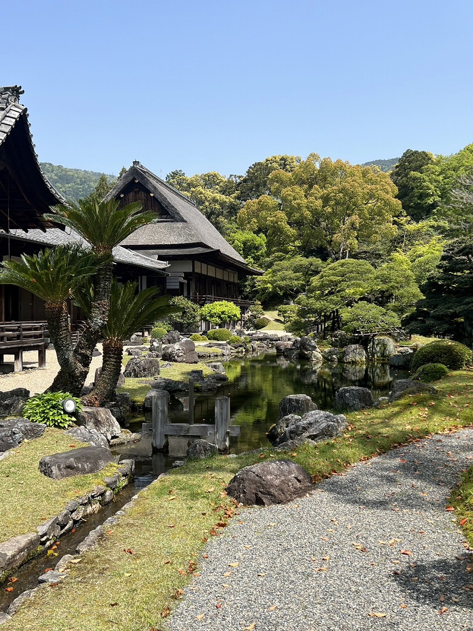 山科店 エリアトピックス