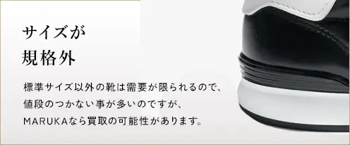 サイズが規格外