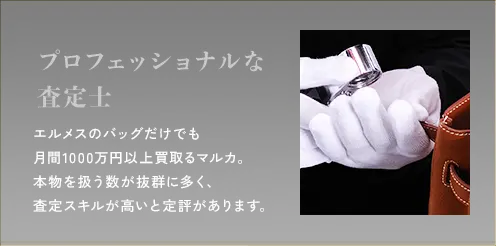 プロフェッショナルな査定士